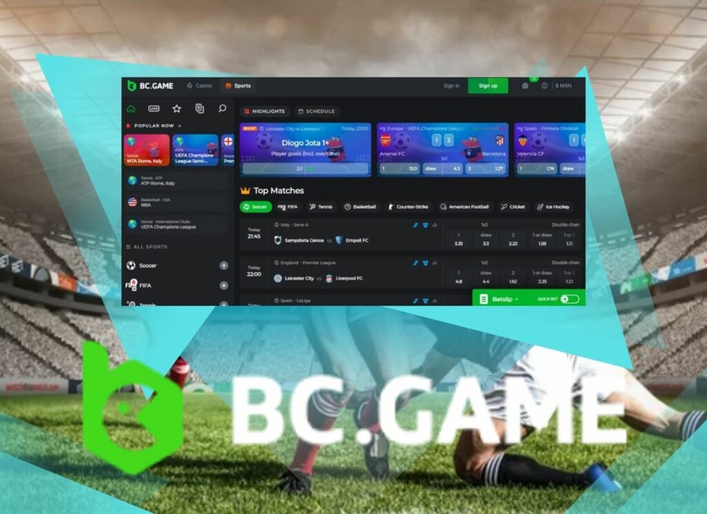 BC Game Indian sports betting website review
