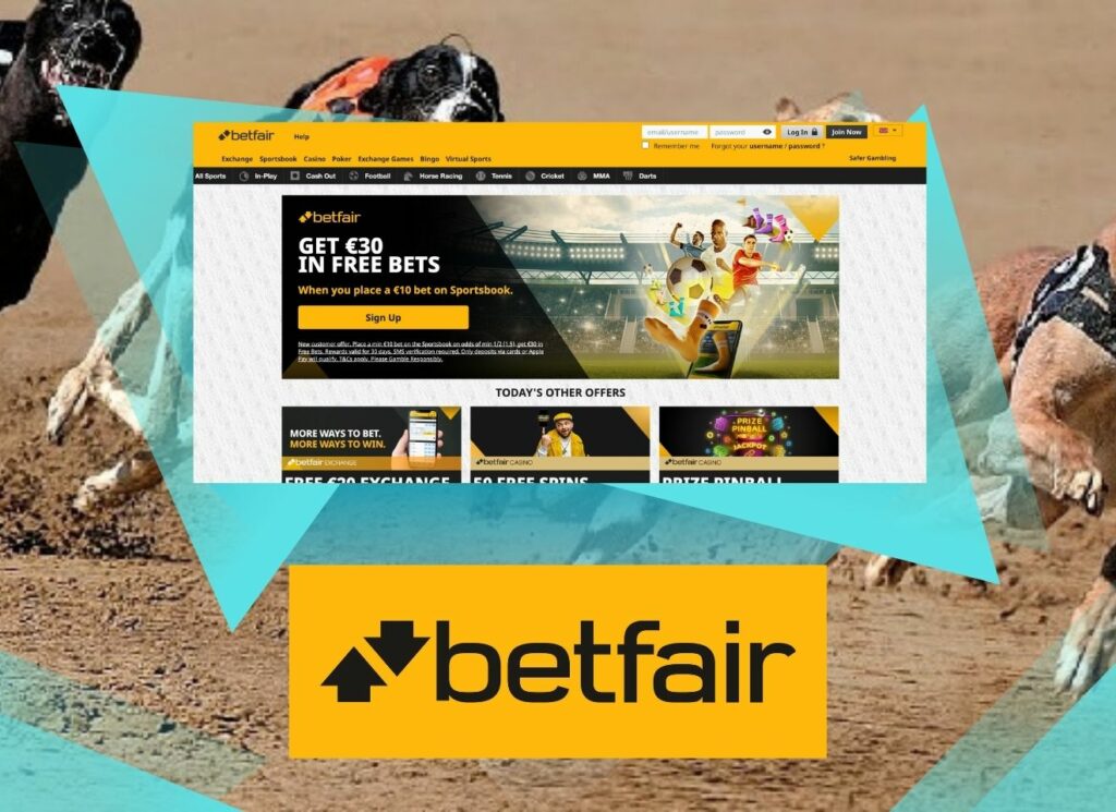 Take advantage of Betfair greyhounds betting
